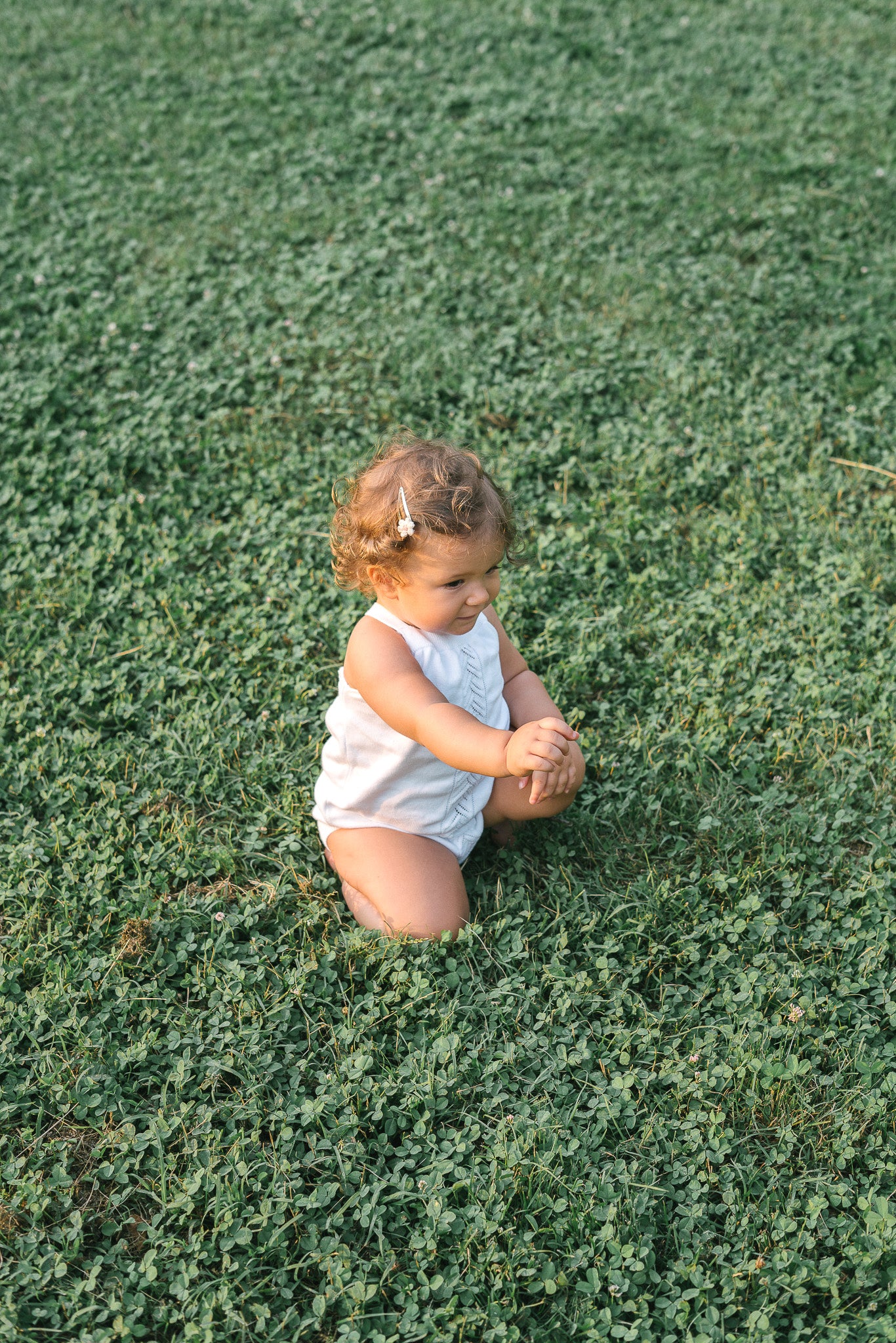 Organic Knit Body