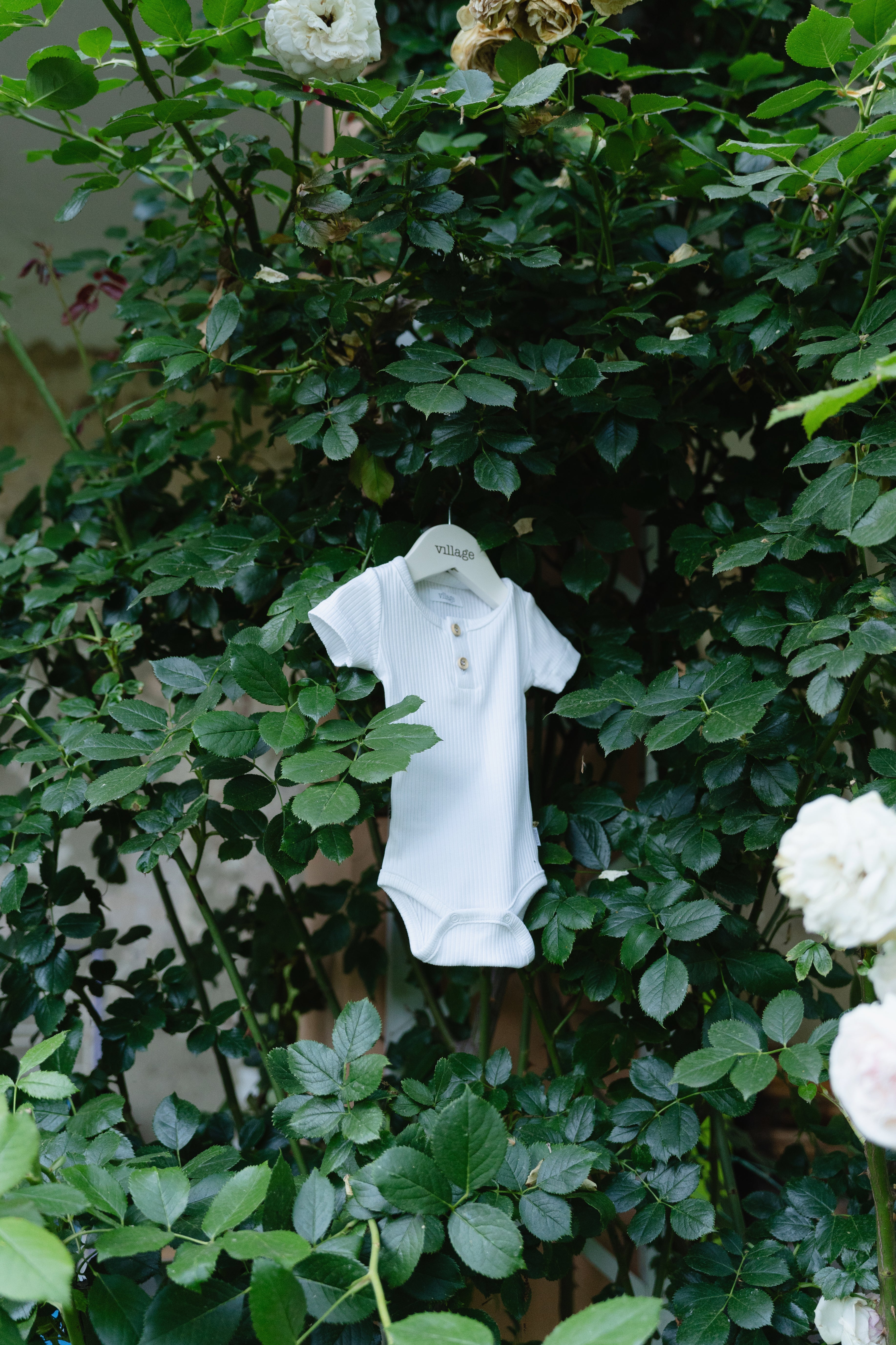 Ribbed body with short sleeves - blue