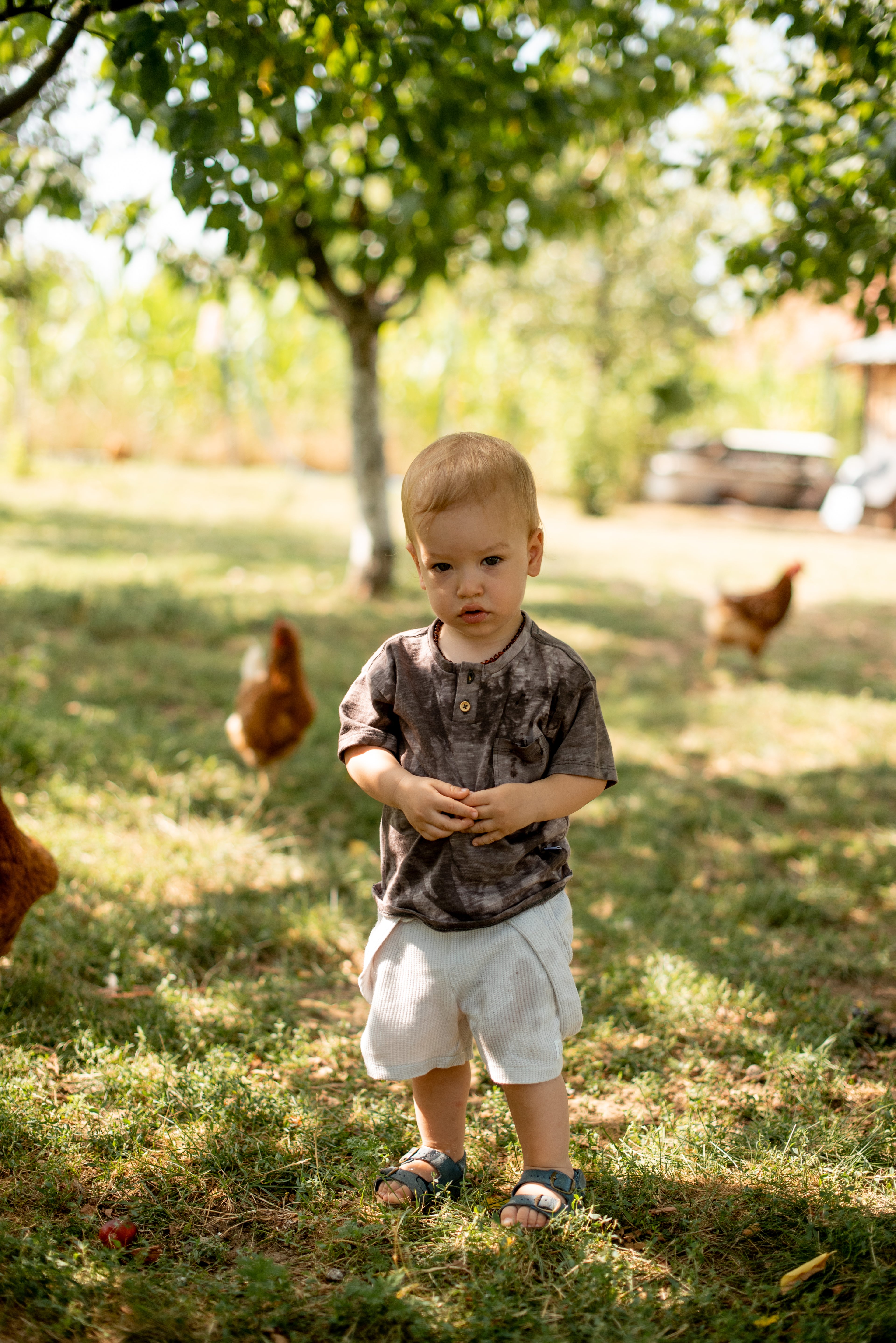 Majica za dečake- braon