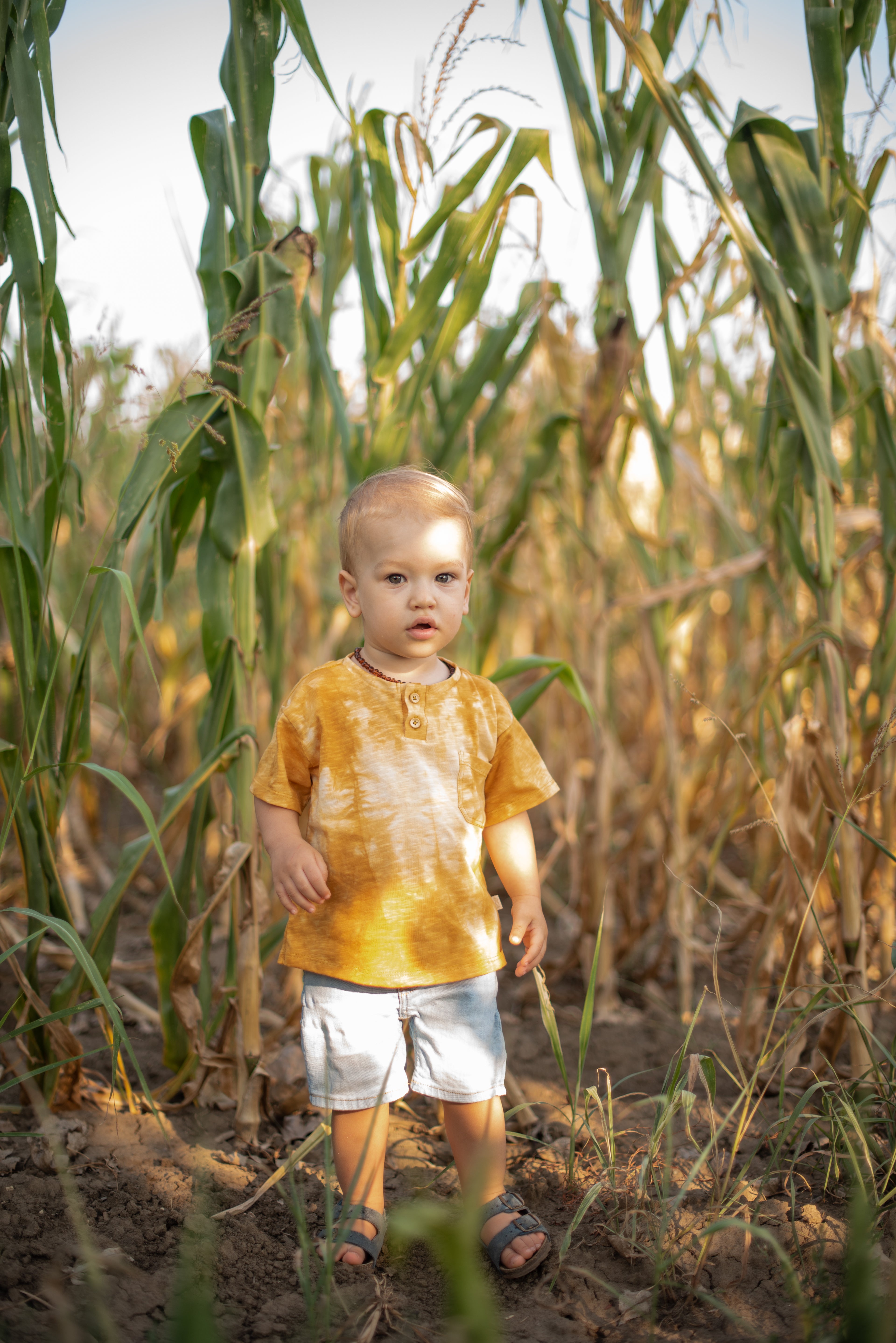 Majica za dečake- žuta