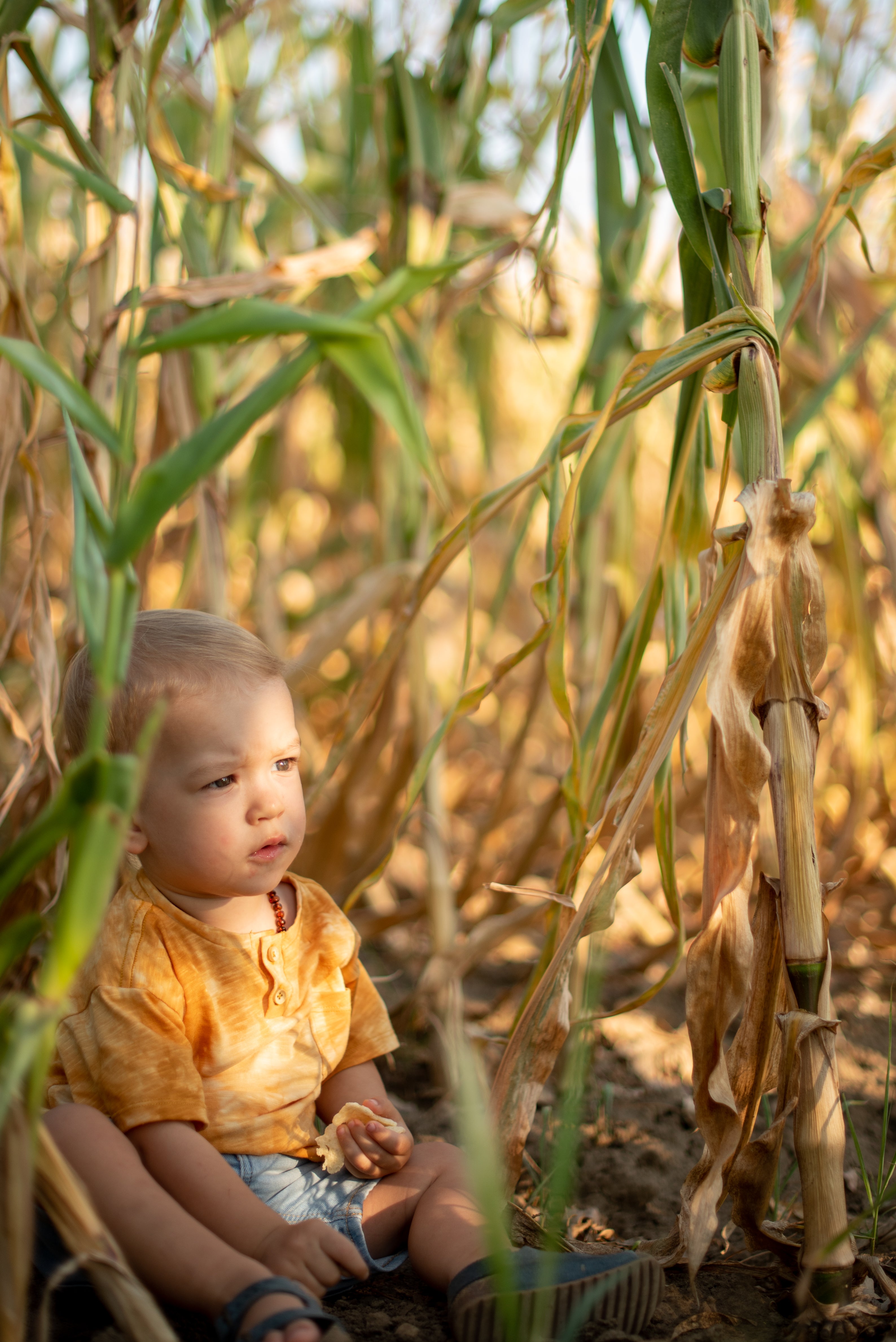 Majica za dečake- žuta