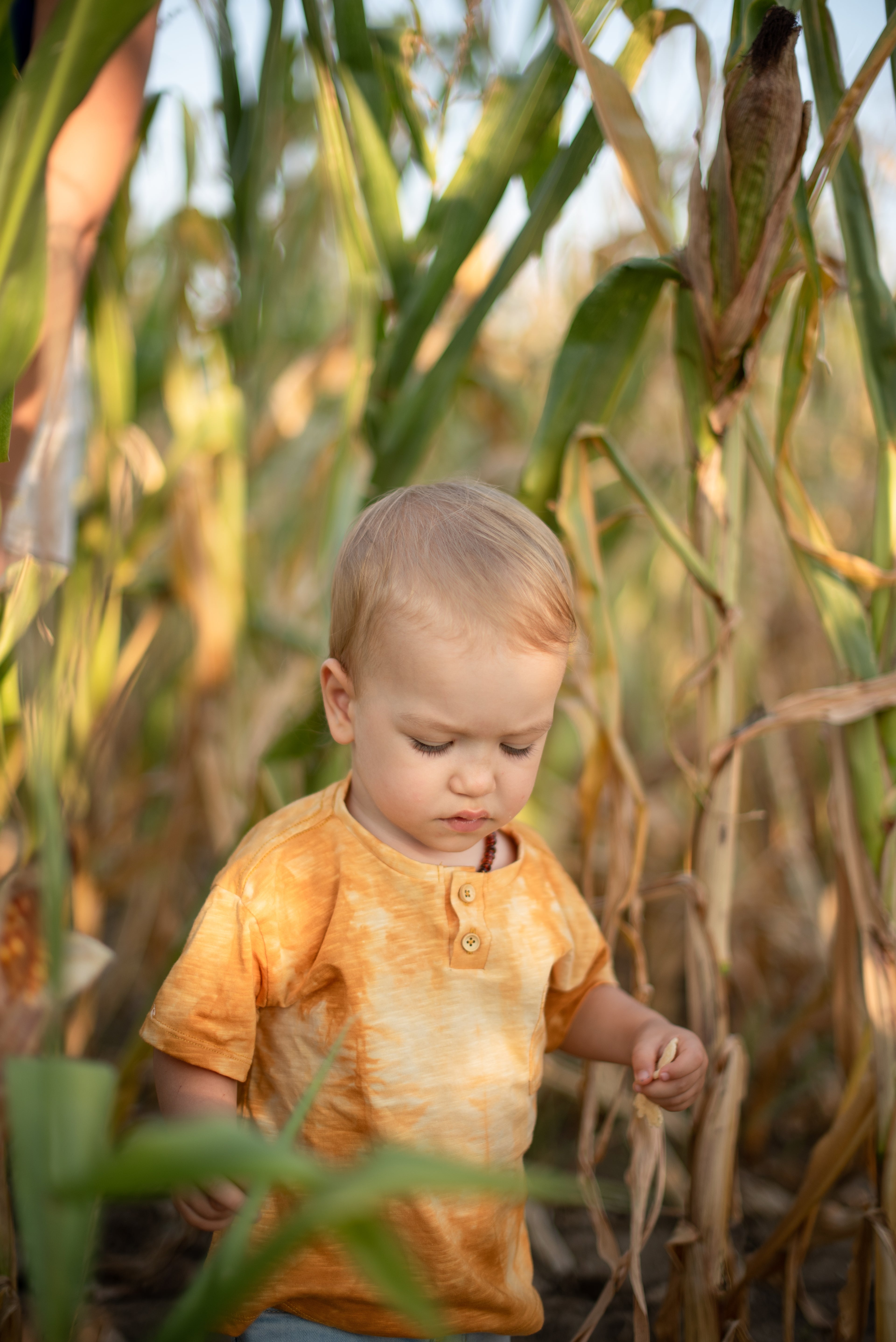 Majica za dečake- žuta